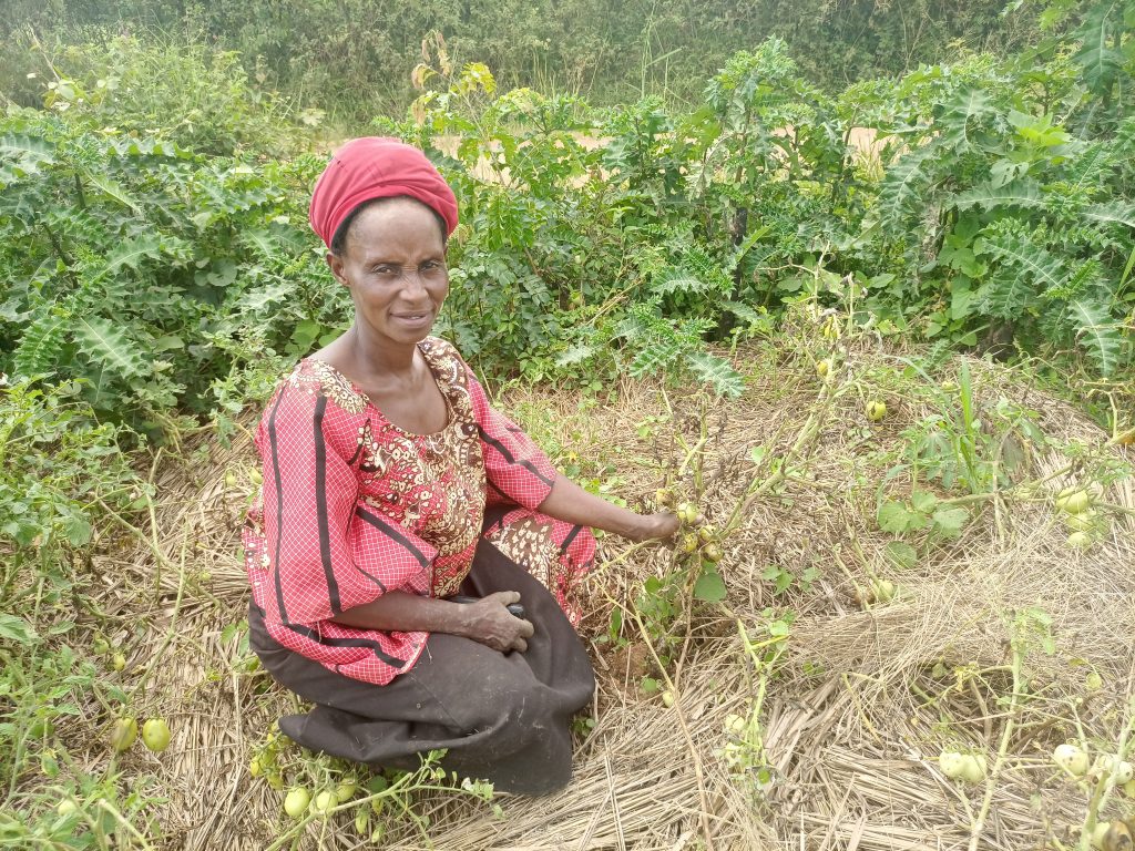 Kalolina Kitone in her destroyed tomato garden.