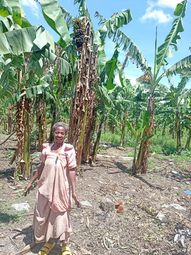 Margaret Nanyomo in her banana plantation that was hit by the hailstones